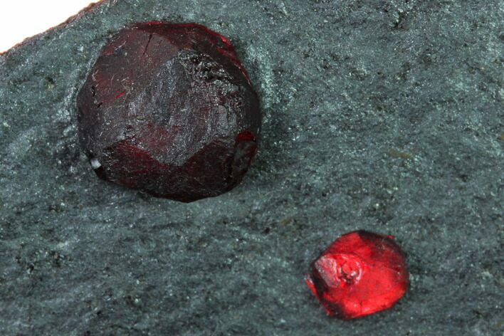 Plate of Two Red Embers Garnets in Graphite - Massachusetts #147859
